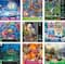 Assorted Deluxe 750 Piece Puzzle